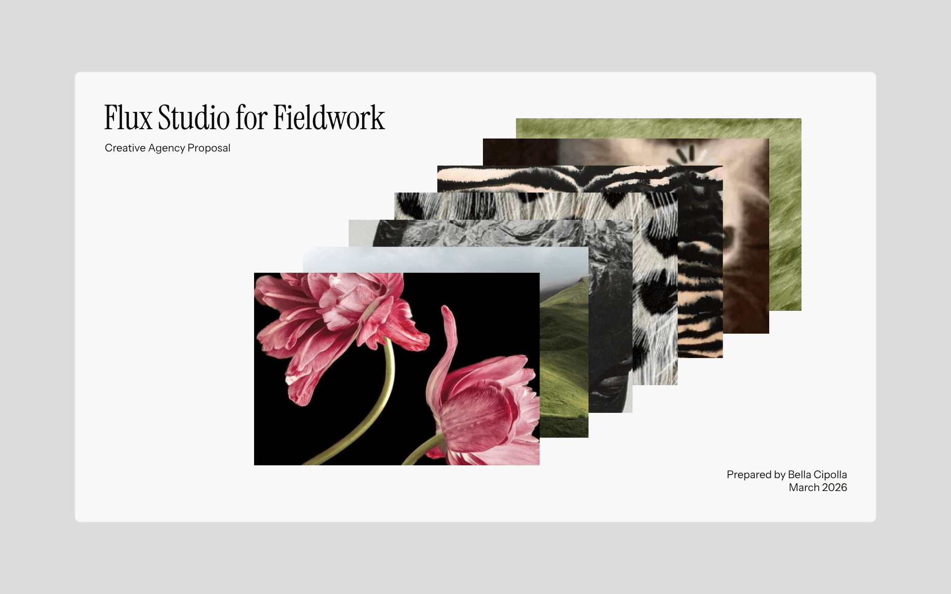 creative-agency-proposal